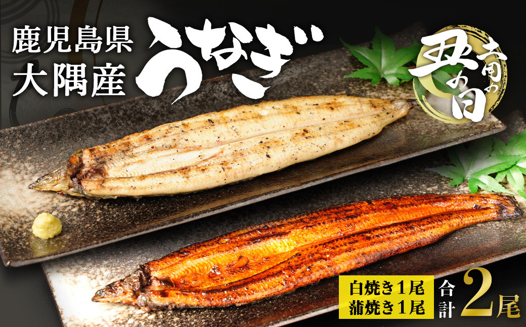 【土用丑の日】鹿児島県大隅産　千歳鰻の白焼1尾・蒲焼き1尾　合計2尾セット（1尾110g～130g）