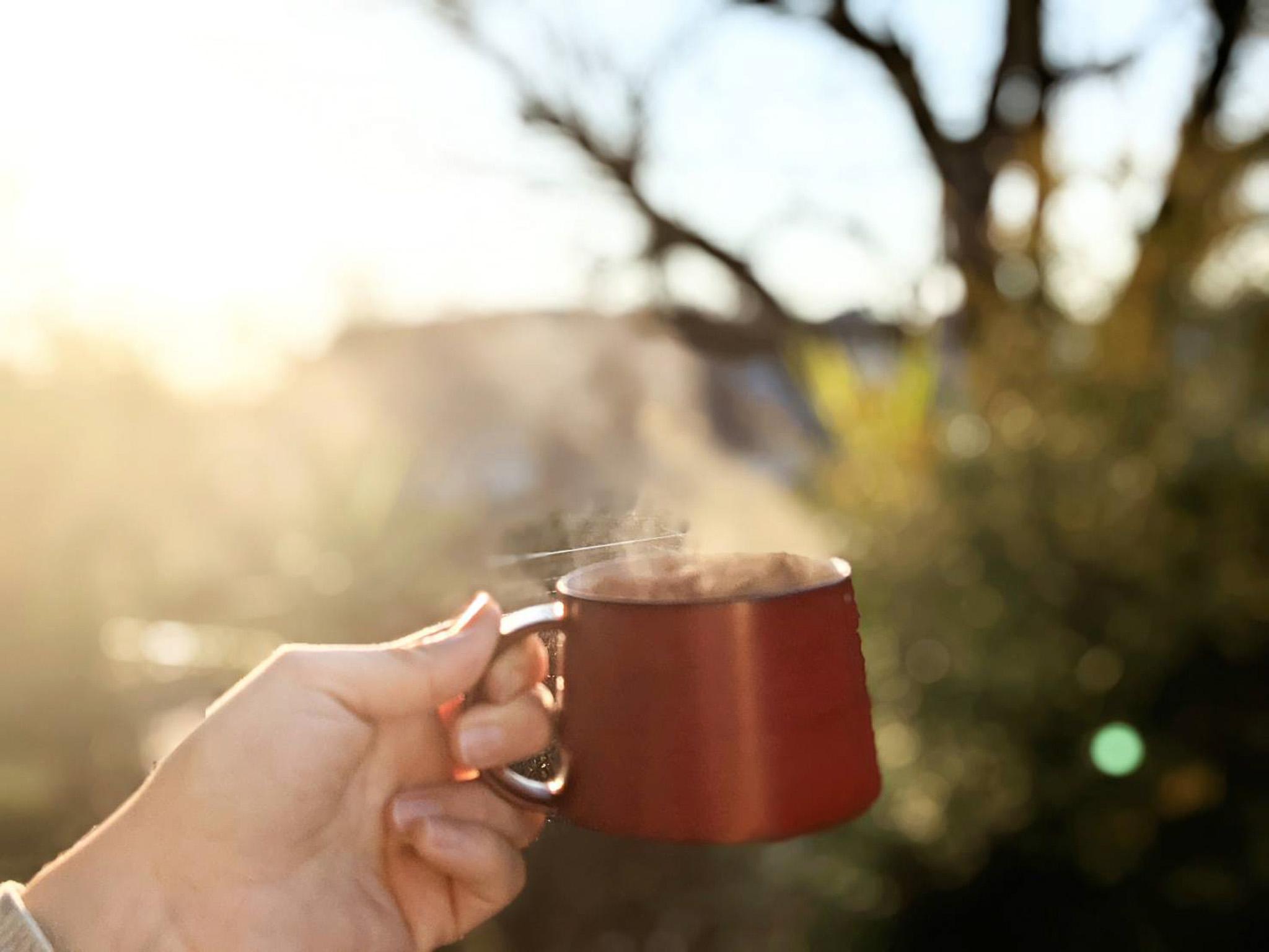 珈琲豆定期便【晴朗ブレンド(深煎)・各種シングルオリジンコーヒー】