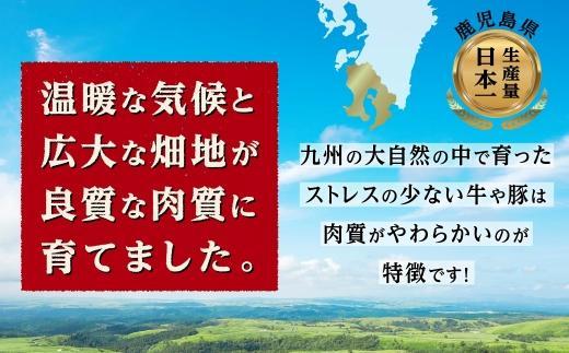 荵晏キ樒肇雎夊i1.5kg縲2遞ョ繧サ繝繝医シ医Ο繝シ繧ケ逕溷ァ懃┥縺咲畑350gテ2縲繝舌Λ繧ケ繝ゥ繧、繧ケ縲400gテ2縲シ