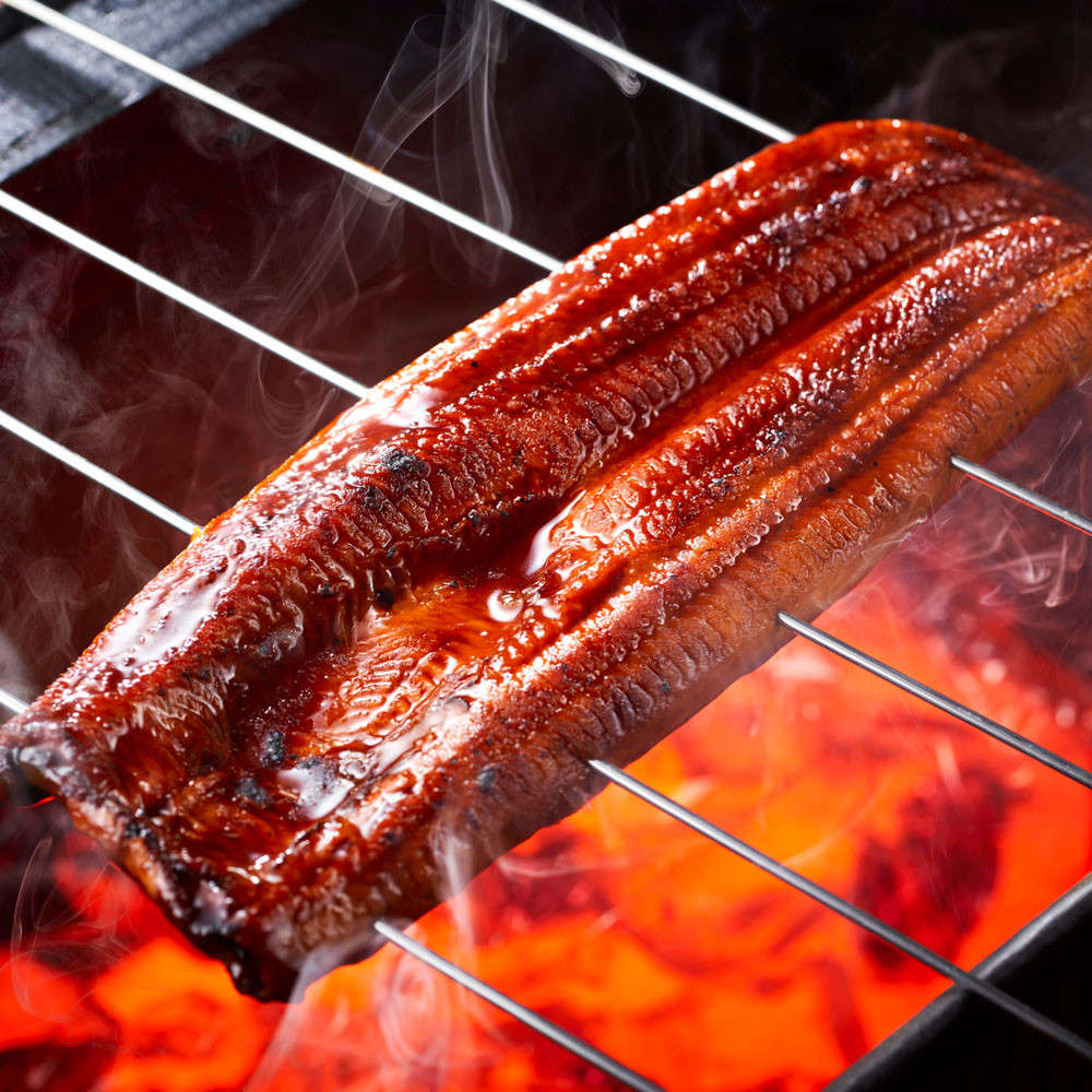 【3回定期】うなぎ 蒲焼 200g×2尾【鹿児島産】地下水で育てた絶品鰻