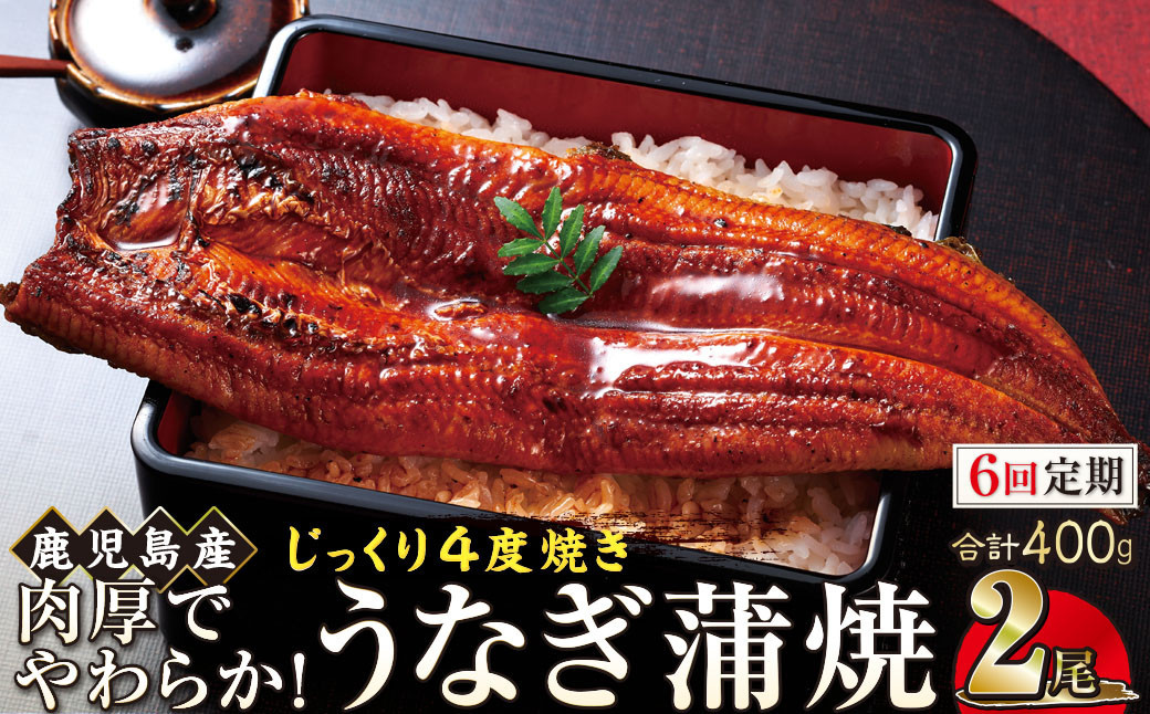 【6回定期】うなぎ 蒲焼 200g×2尾【鹿児島産】地下水で育てた絶品鰻