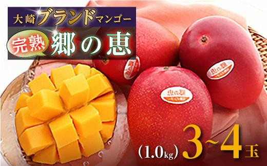 【ご家庭用3-4玉（1.0kg）】大崎完熟マンゴー「郷の恵（さとのめぐみ）」