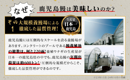 うなぎ 蒲焼 200g×4尾【鹿児島産】地下水で育てた絶品鰻