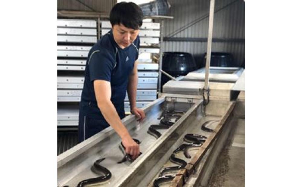 暪山æ¡äžããã®SçŽé°»ã倧15å°ŸïŒ2.25kgïŒ