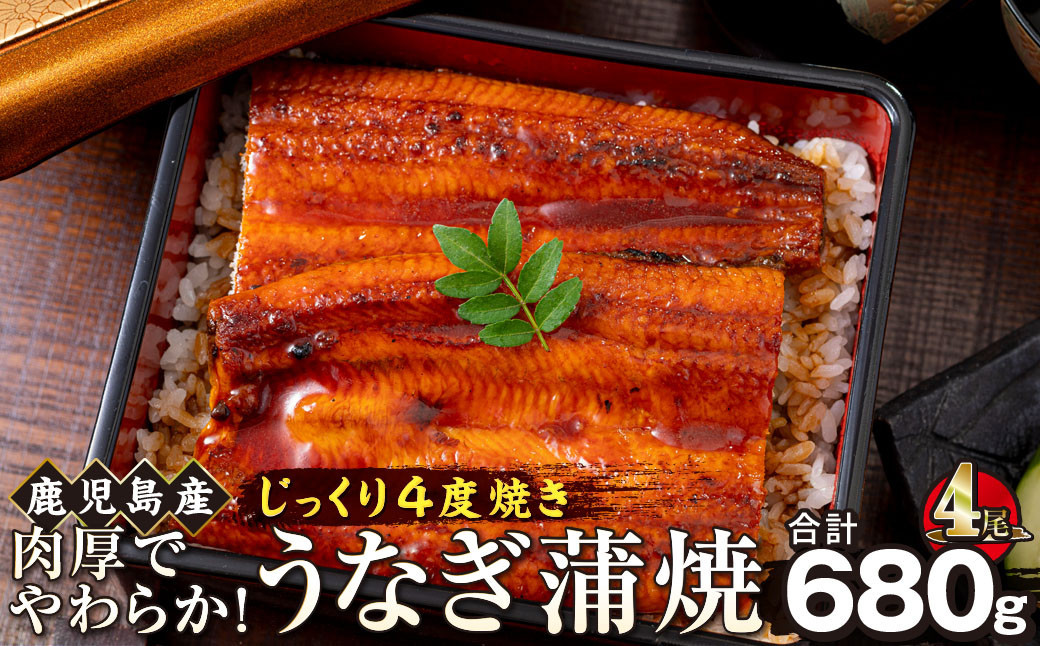 うなぎ 蒲焼 170g×4尾【鹿児島産】地下水で育てた絶品鰻