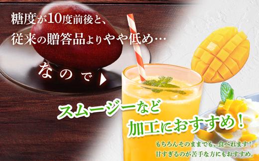 【訳あり】1kg 大崎完熟マンゴー「郷の恵（さとのめぐみ）」加工用マンゴー（糖度10度前後）