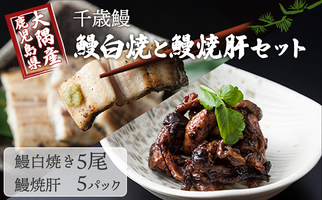 鹿児島県大隅産　千歳鰻の白焼き鰻　5尾・鰻焼肝セット