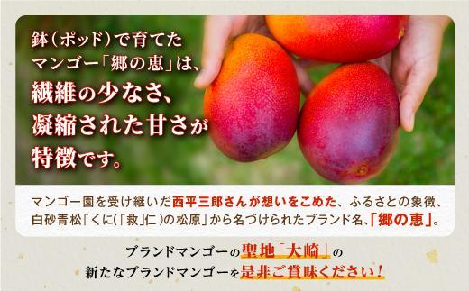 【訳あり】1kg 大崎完熟マンゴー「郷の恵（さとのめぐみ）」加工用マンゴー（糖度10度前後）