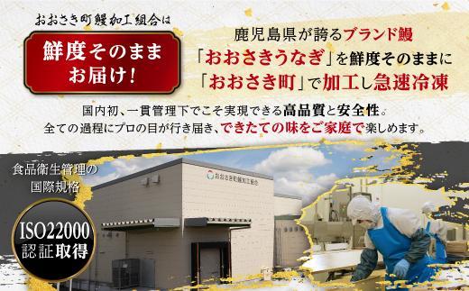 鹿児島県産うなぎカット蒲焼5袋　計250g以上（パック個包装）