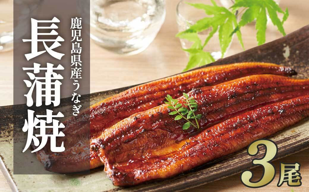ふるさと納税限定　鹿児島県大崎町産 国産 うなぎ長蒲焼 3尾 計480g以上 | 鰻 うなぎ蒲焼き うな重 ひつまぶし ウナギ 蒲焼 人気 おすすめ 鹿児島 大隅半島 DU002　