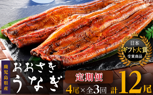 【定期便】国産 おおさきうなぎ 鹿児島県産うなぎ長蒲焼4尾（全3回）合計12尾 | 鹿児島県のうなぎは全国1位の生産量 大崎町の位置する大隅半島は特にうなぎ養殖が盛ん。うなぎの町 大崎町より美味しい 鰻 お届けします。ウナギ 蒲焼き 蒲焼 きざみ ひつまぶし 産地直送 直送 高級 厳選 炭火焼き 冷凍 鹿児島県 大崎町