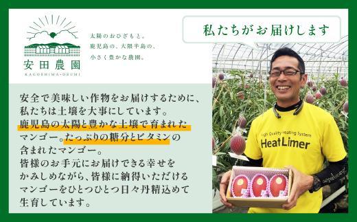 ãæ°ééå®/å
è¡äºçŽããã³ãŽãŒãã¯ã¡ããïŒé¢å
¥ãïŒåšãåç²§ç®±å
¥ã