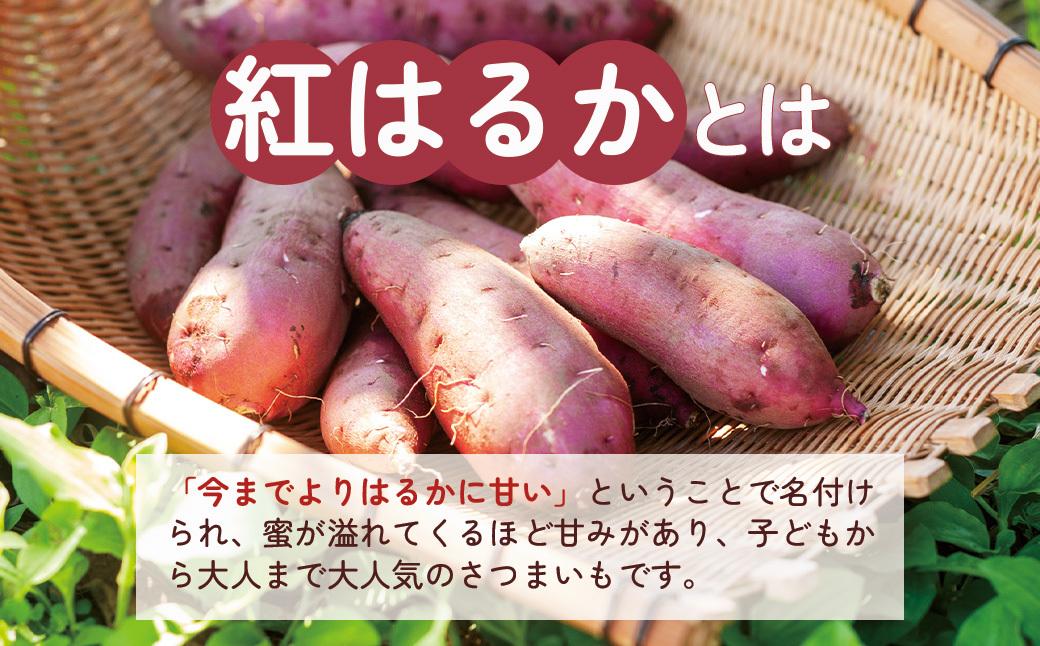【先行予約】訳アリ！紅蜜芋　紅はるか　2kg