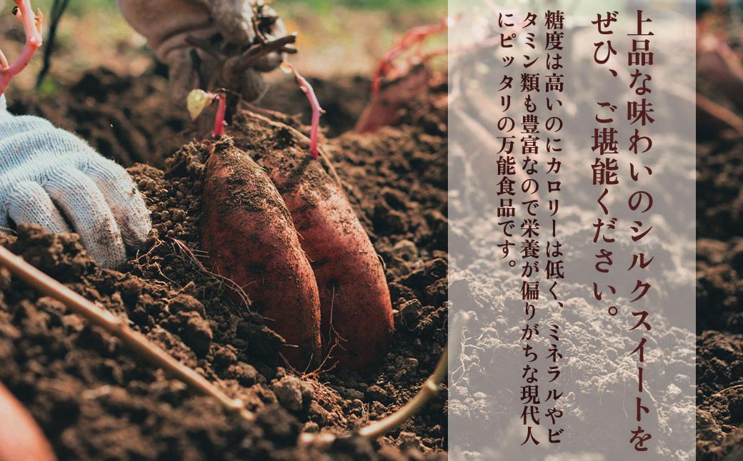 縲仙ョ壽悄萓ソ蜈ィ12蝗槭代@縺」縺ィ繧企」滓─シ√す繝ォ繧ッ繧ケ繧、繝シ繝医ョ辟シ縺崎葛2kg