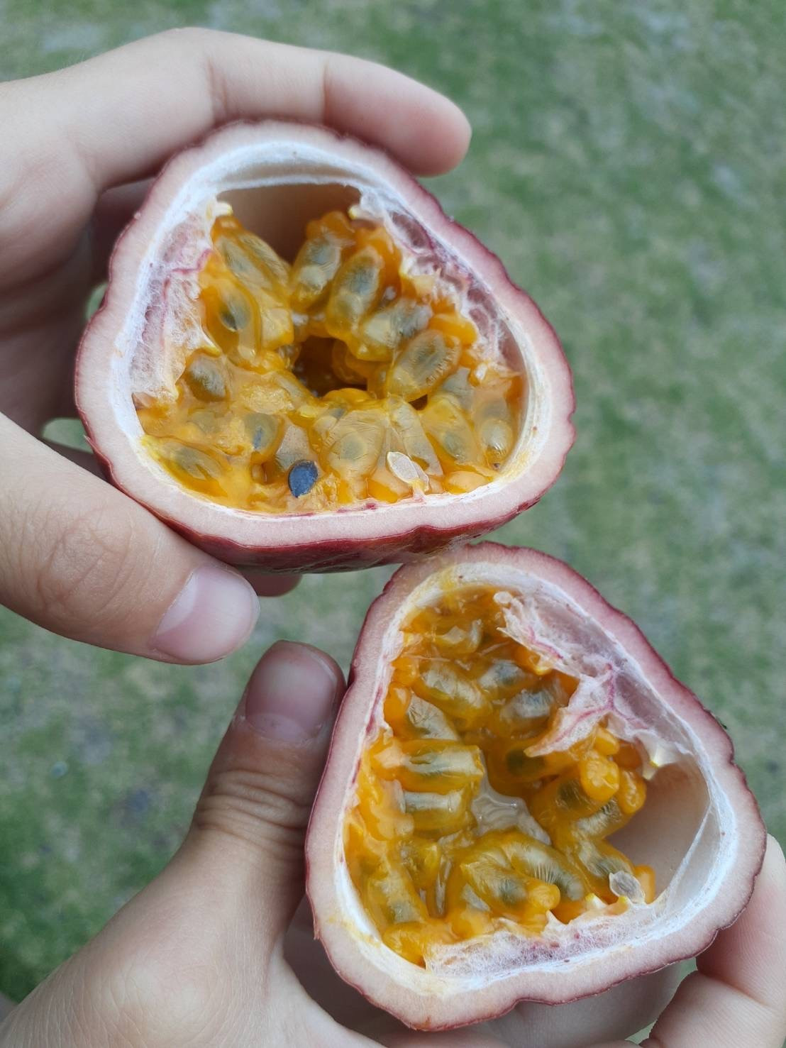 èèéæåºã®ãå®¶åºçšãããã·ã§ã³ãã«ïŒãã3kg