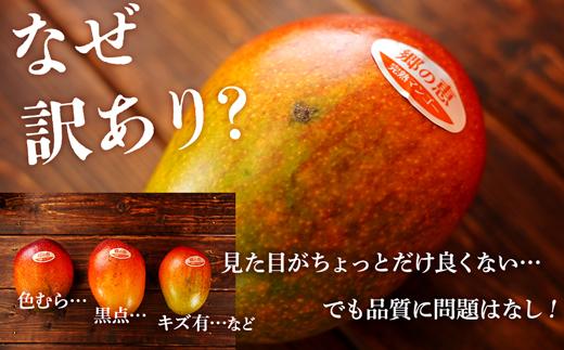 【訳あり】1kg 大崎完熟マンゴー「郷の恵（さとのめぐみ）」加工用マンゴー（糖度10度前後）