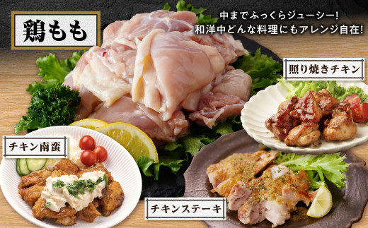 譯懷ウカ鮓上b繧ゑシ育音陬ス繝悶Λ繧、繝ウ豸イ莉戊セシ縺ソ繝サ荳句袖莉倥″シ峨蟆丞縺代ヱ繝繧ッ縲2.4kgシ8繝代ャ繧ッシ