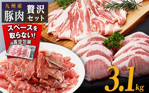九州産豚肉3.1kg　3種セット　（豚バラスライス400g×3P　豚ロースとんかつ350g（3枚）×2P　豚モモウデ切り落とし300g×4P）