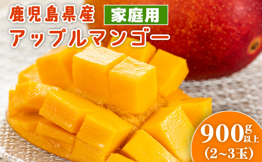 老舗青果店のご家庭用　アップルマンゴー　2～3玉