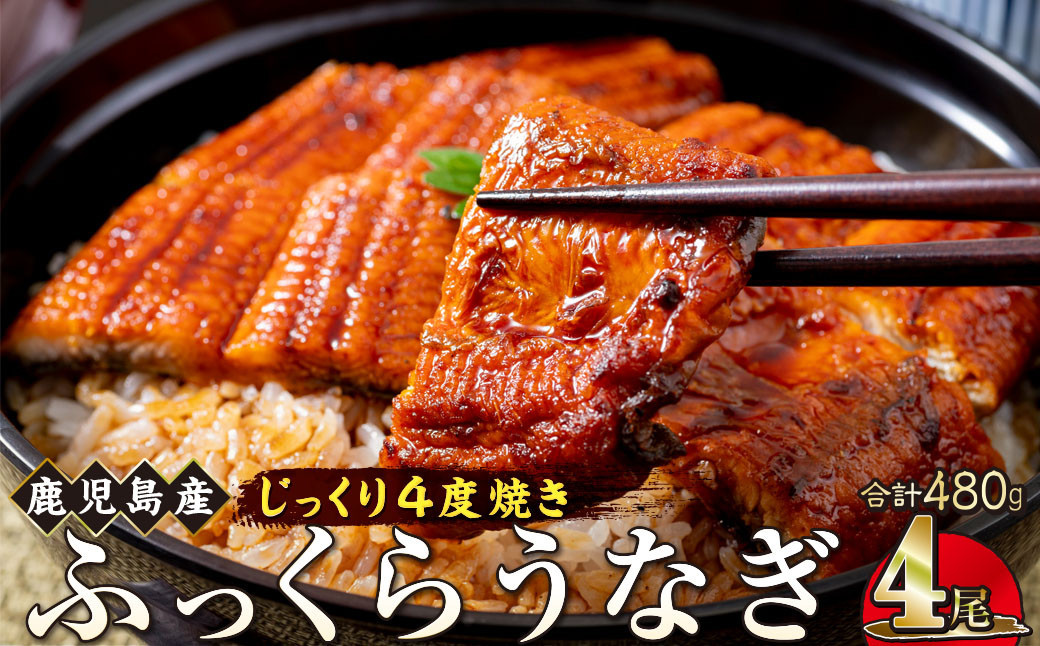 うなぎ 蒲焼 120g×4尾【鹿児島産】地下水で育てた絶品鰻