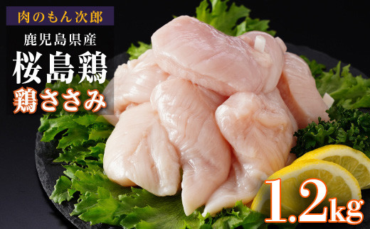 桜島鶏ささみ（特製ブライン液仕込み・下味付き）　小分けパック　1.2kg（4パック）