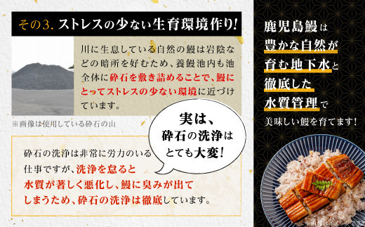 【6回定期】うなぎ 蒲焼 200g×2尾【鹿児島産】地下水で育てた絶品鰻