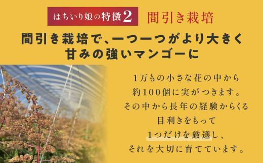 ãæ°ééå®/å
è¡äºçŽããã³ãŽãŒãã¯ã¡ããïŒé¢å
¥ãïŒåšãåç²§ç®±å
¥ã