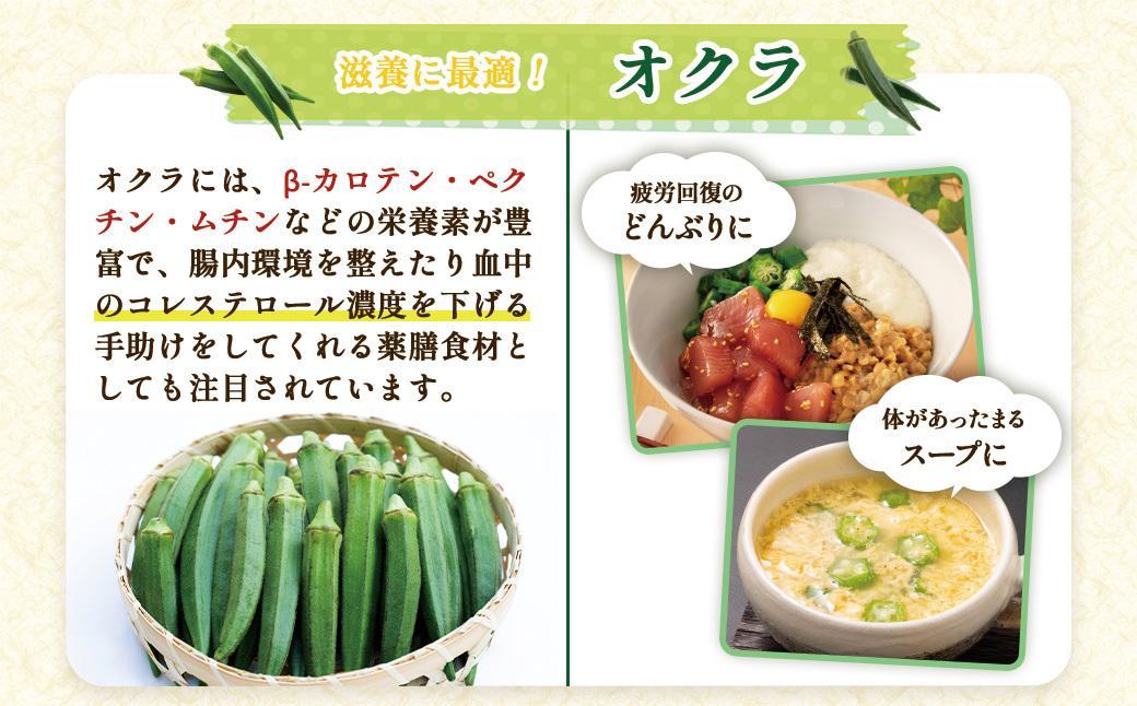 【定期便】 冷凍ブロッコリー＆冷凍オクラセット ×3回