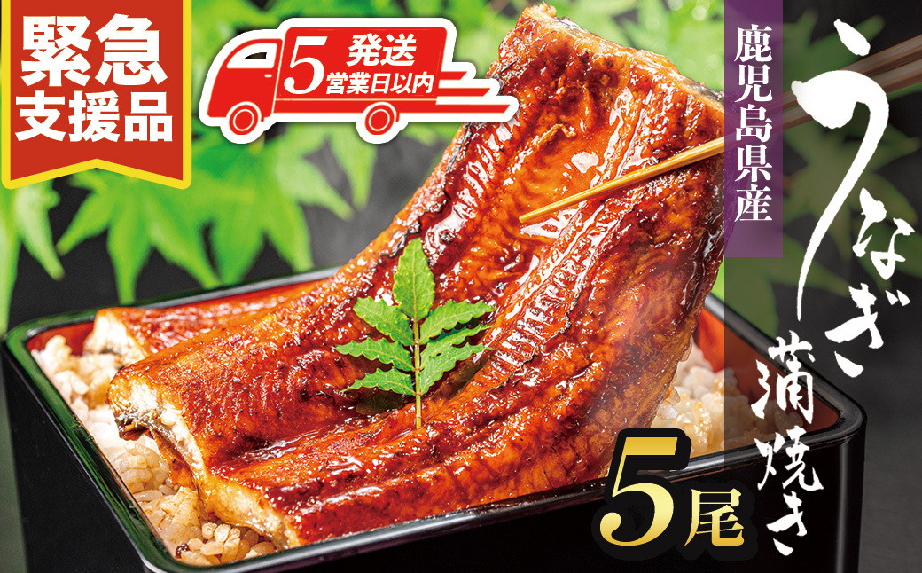 【5営業日以内発送】鹿児島県産うなぎ長蒲焼120g×5尾セット