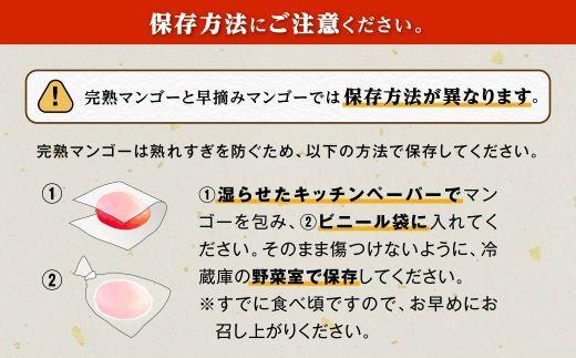 【訳あり】1kg 大崎完熟マンゴー「郷の恵（さとのめぐみ）」加工用マンゴー（糖度10度前後）