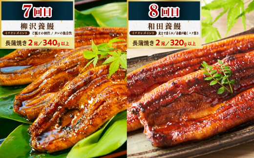 大崎町うなぎ食べ比べ定期便　全8回