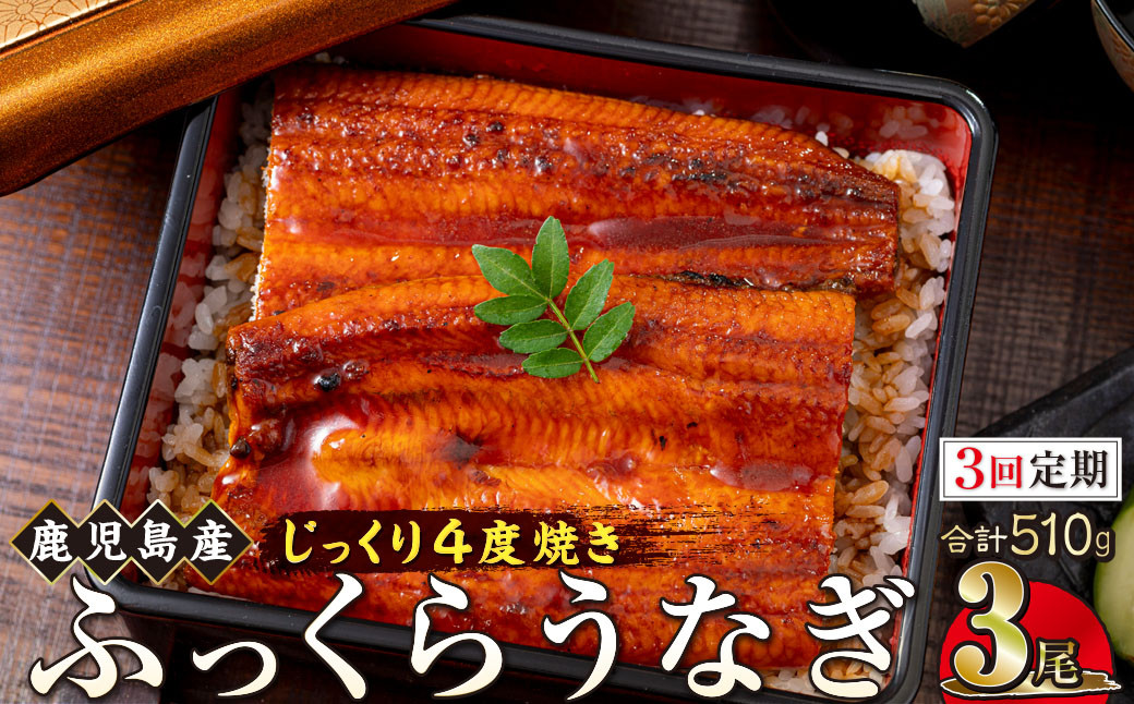 【3回定期】うなぎ 蒲焼 170g×3尾【鹿児島産】地下水で育てた絶品鰻