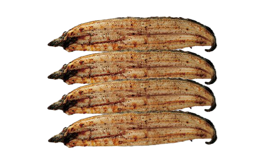 鹿児島県大隅産　千歳鰻の白焼鰻　4尾