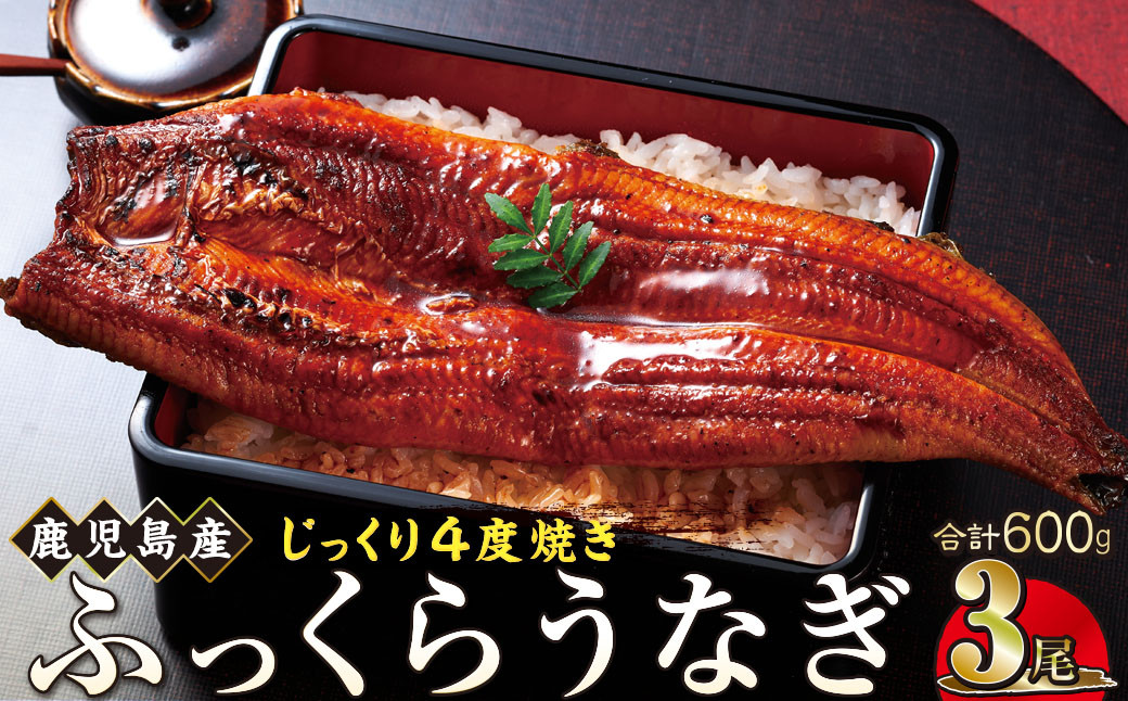 うなぎ 蒲焼 200g×3尾【鹿児島産】地下水で育てた絶品鰻