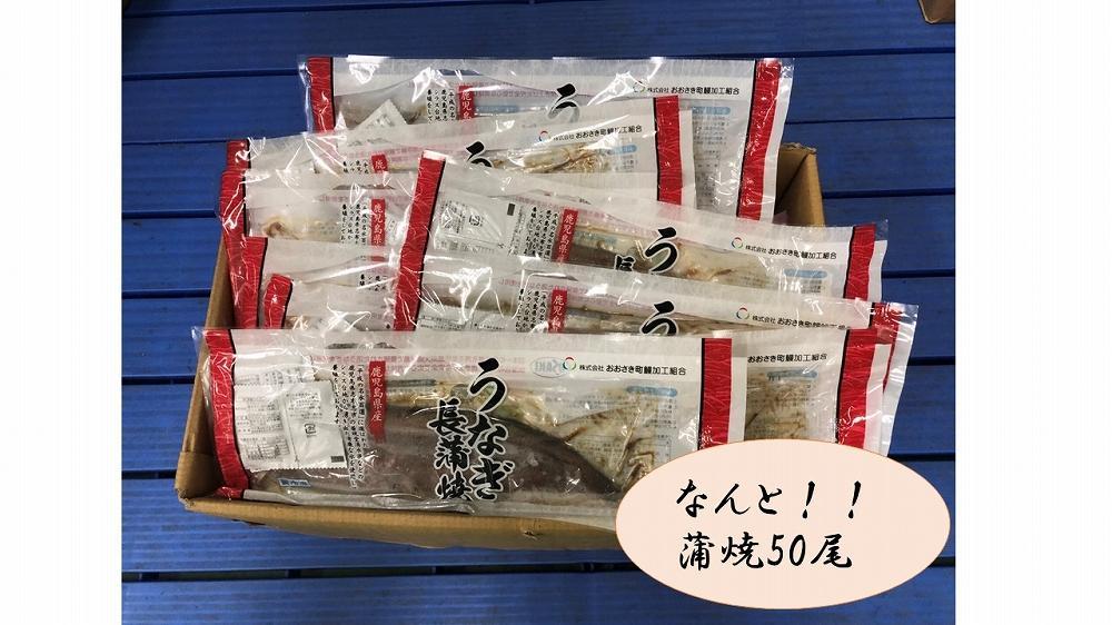 縺ゥ繝シ繧薙→縺雁ア翫¢シ∫音螟ァ50蟆セ縲鮖ソ蜈仙ウカ逵檎肇髟キ闥イ辟シ
