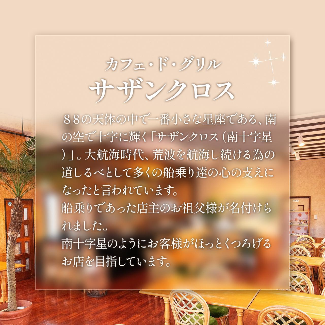 洋食屋サザンクロスのデミグラスハンバーグ3個 × お箸で切れる柔らかさ 5時間煮込んだ手羽元のコンフィ2袋