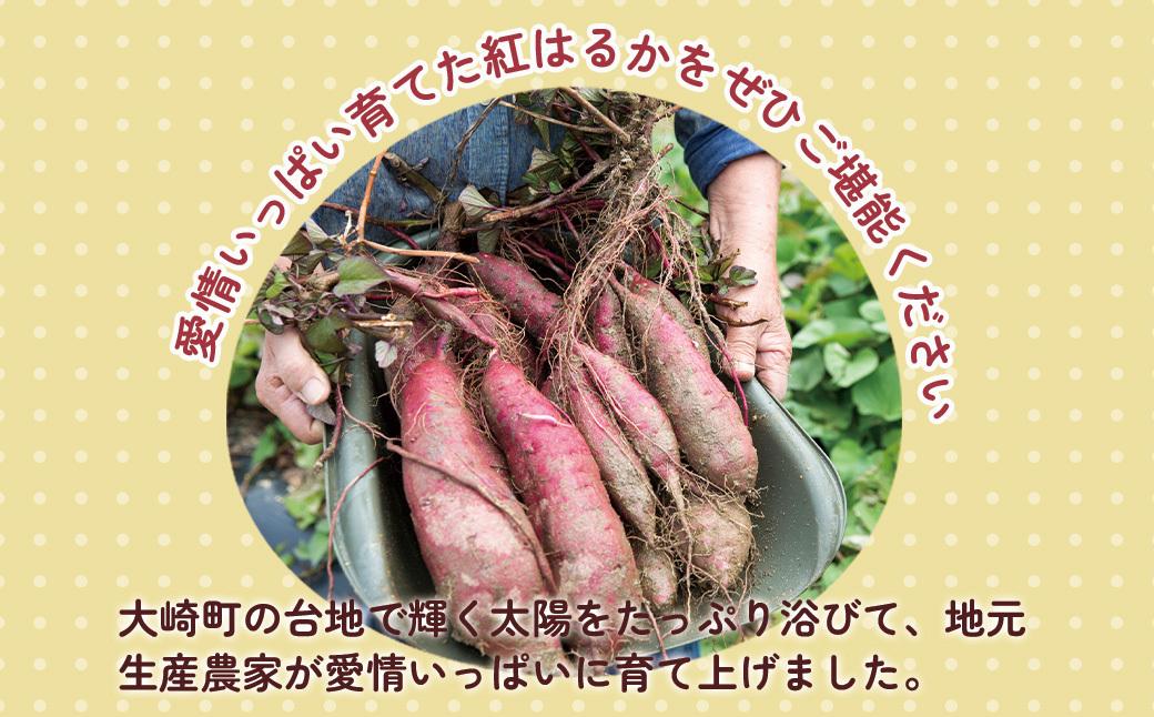 【先行予約】訳アリ！紅蜜芋　紅はるか　5kg