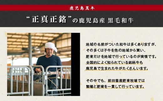 鹿児島県産黒毛和牛　モモ・バラ すきやき用 1kg