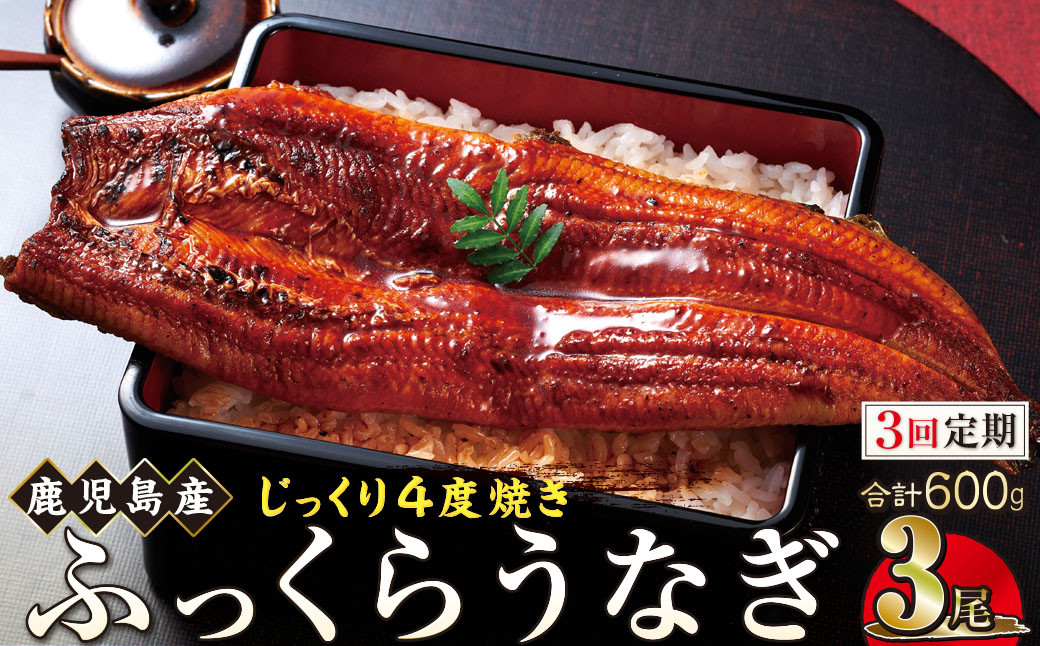 【3回定期】うなぎ 蒲焼 200g×3尾【鹿児島産】地下水で育てた絶品鰻