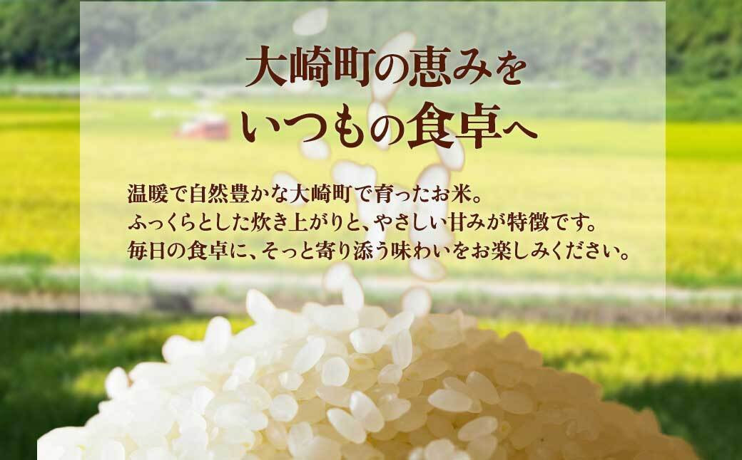縲千イセ邀ウ縲大、ァ蟠守肇 譁ー螳ョ縺サ縺ョ縺狗アウ シ医↑縺、縺サ縺ョ縺具シ5kg
