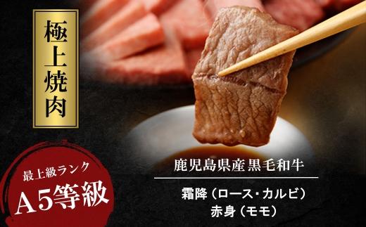 ãæ¥µäžçŒèã»ããã黿¯åçïŒééã»èµ€èº«ïŒïŒçã¿ã³