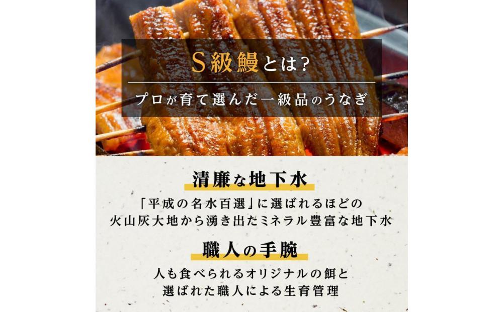 暪山æ¡äžããã®SçŽé°»ã倧15å°ŸïŒ2.25kgïŒ