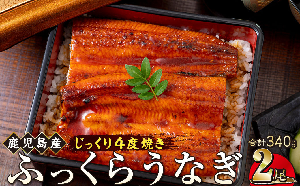 うなぎ 蒲焼 170g×2尾【鹿児島産】地下水で育てた絶品鰻