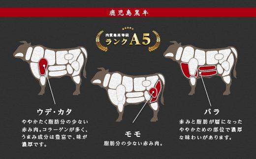 鹿児島県産黒毛和牛切り落とし