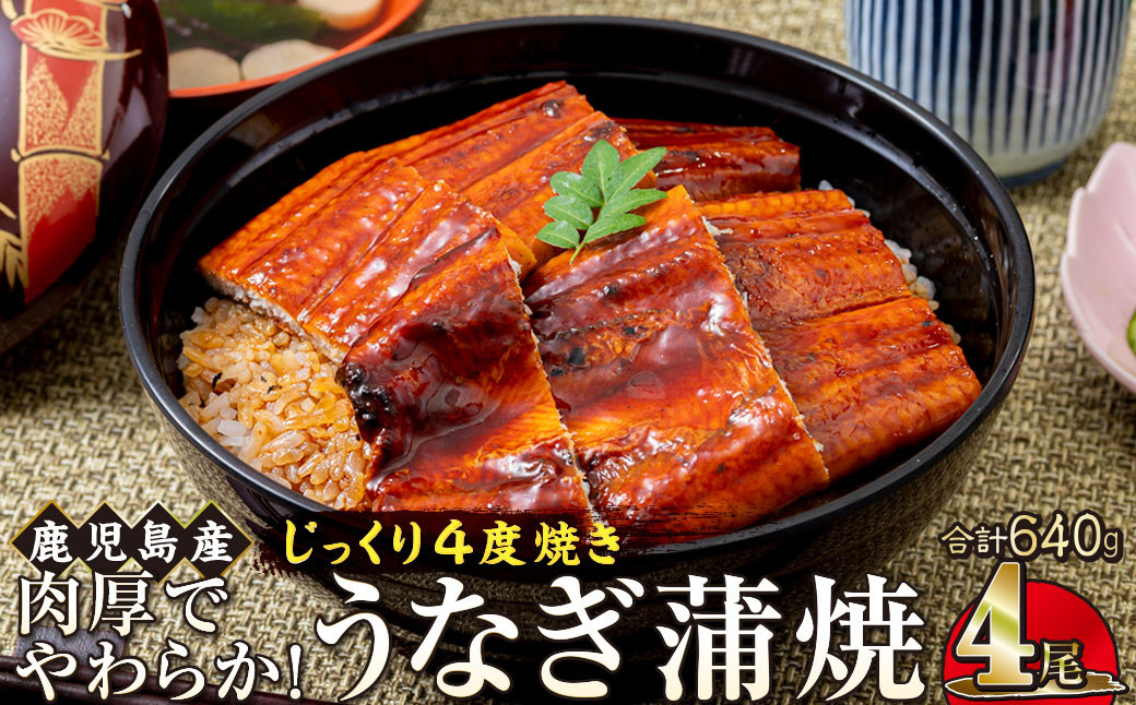 うなぎ 蒲焼 160g×4尾【鹿児島産】地下水で育てた絶品鰻