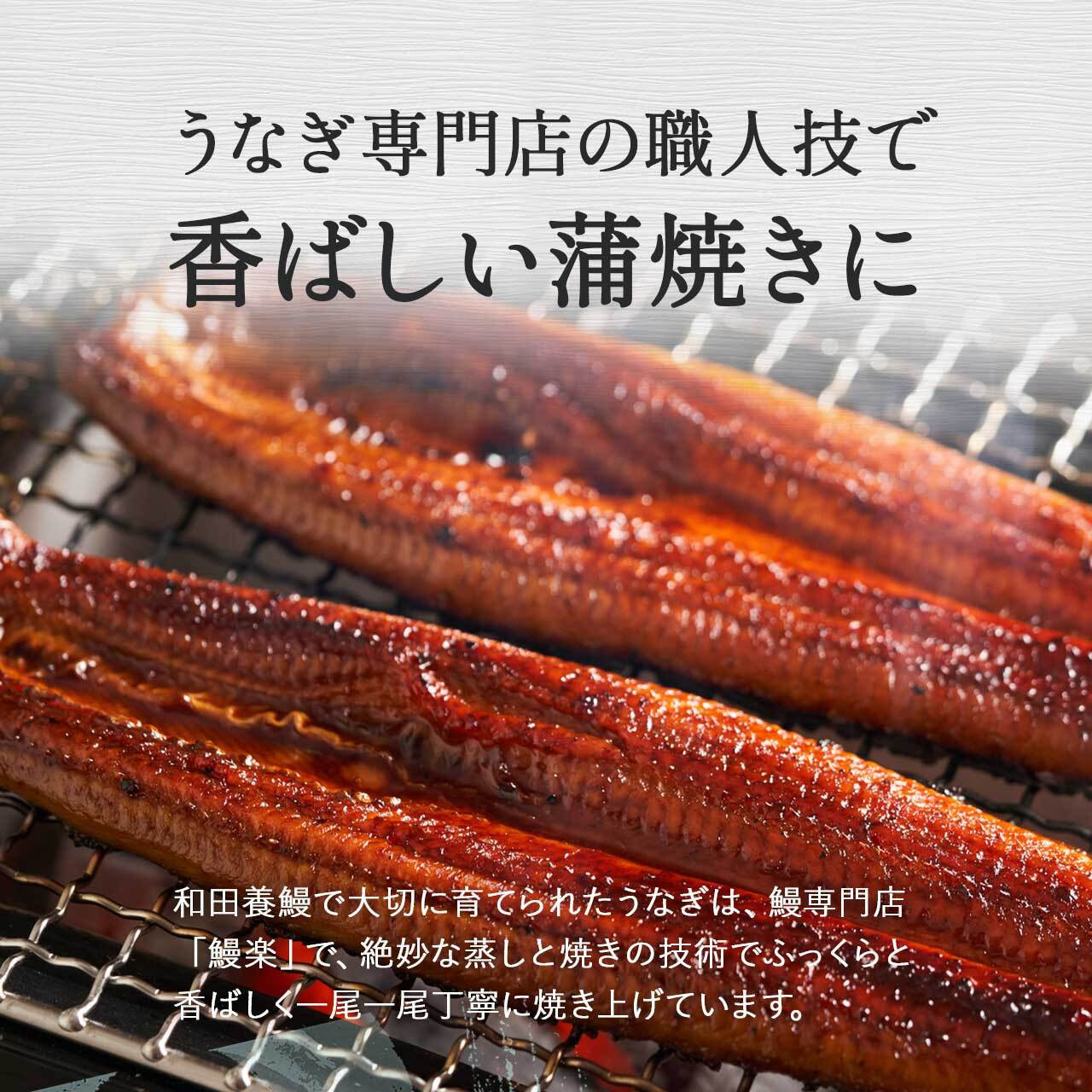 ふるさと納税限定　鹿児島県大崎町産 国産 うなぎ長蒲焼 2尾 計320g以上 | 鰻 うなぎ蒲焼き うな重 ひつまぶし ウナギ 蒲焼 人気 おすすめ 鹿児島 大隅半島 DU001　