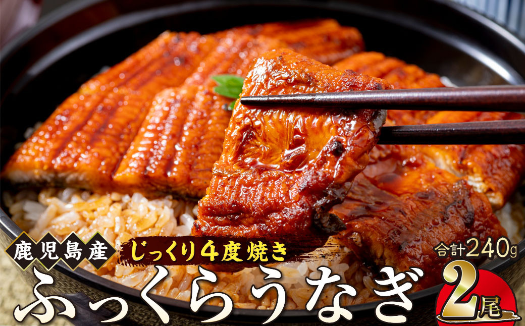 うなぎ 蒲焼 120g×2尾【鹿児島産】地下水で育てた絶品鰻