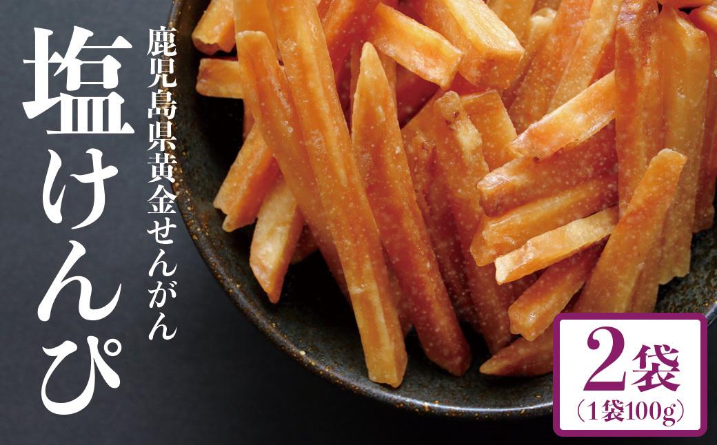 結いの街！カリっとサクッと塩けんぴお手軽パック