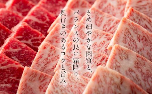 鹿児島黒牛極上セット（焼肉）500ｇ/1パック