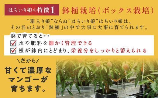 ãæ°ééå®/å
è¡äºçŽããã³ãŽãŒãã¯ã¡ããïŒé¢å
¥ãïŒåšãåç²§ç®±å
¥ã